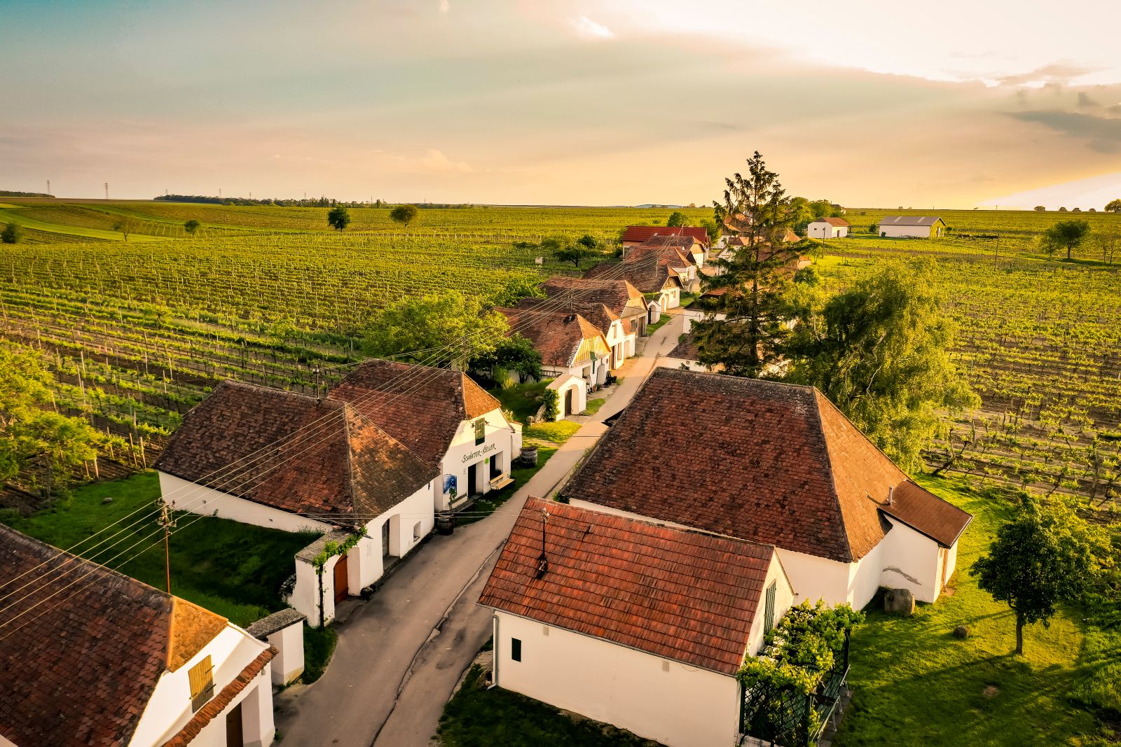 Eine Straße mit Presshäusern in Niederösterreich.