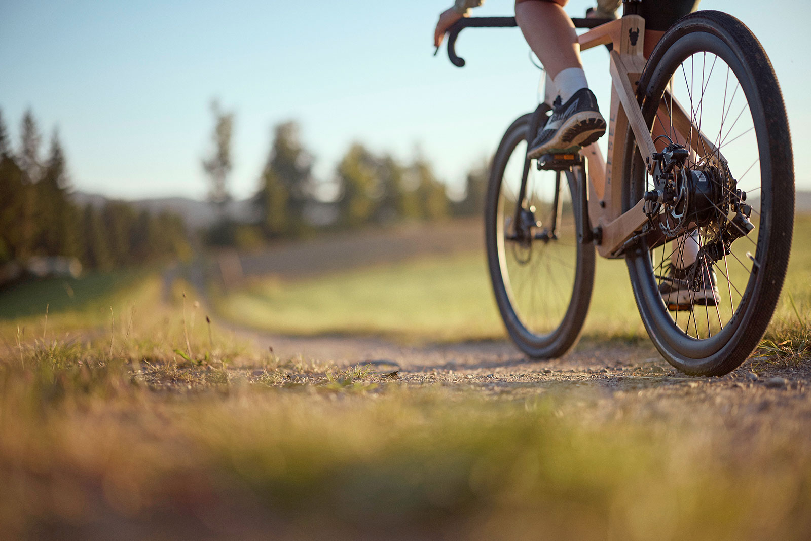 Radfahrer in der Natur unterwegs | Credit: TVB Mühlviertel/Alexander Kaiser