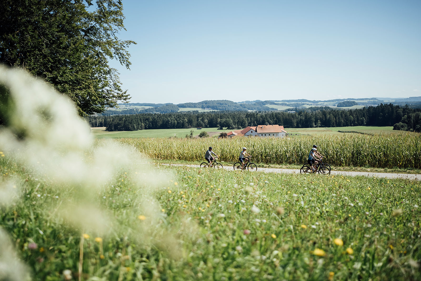 Radfahrer am Weg | Credit: Oberösterreich Tourismus/Tom Son