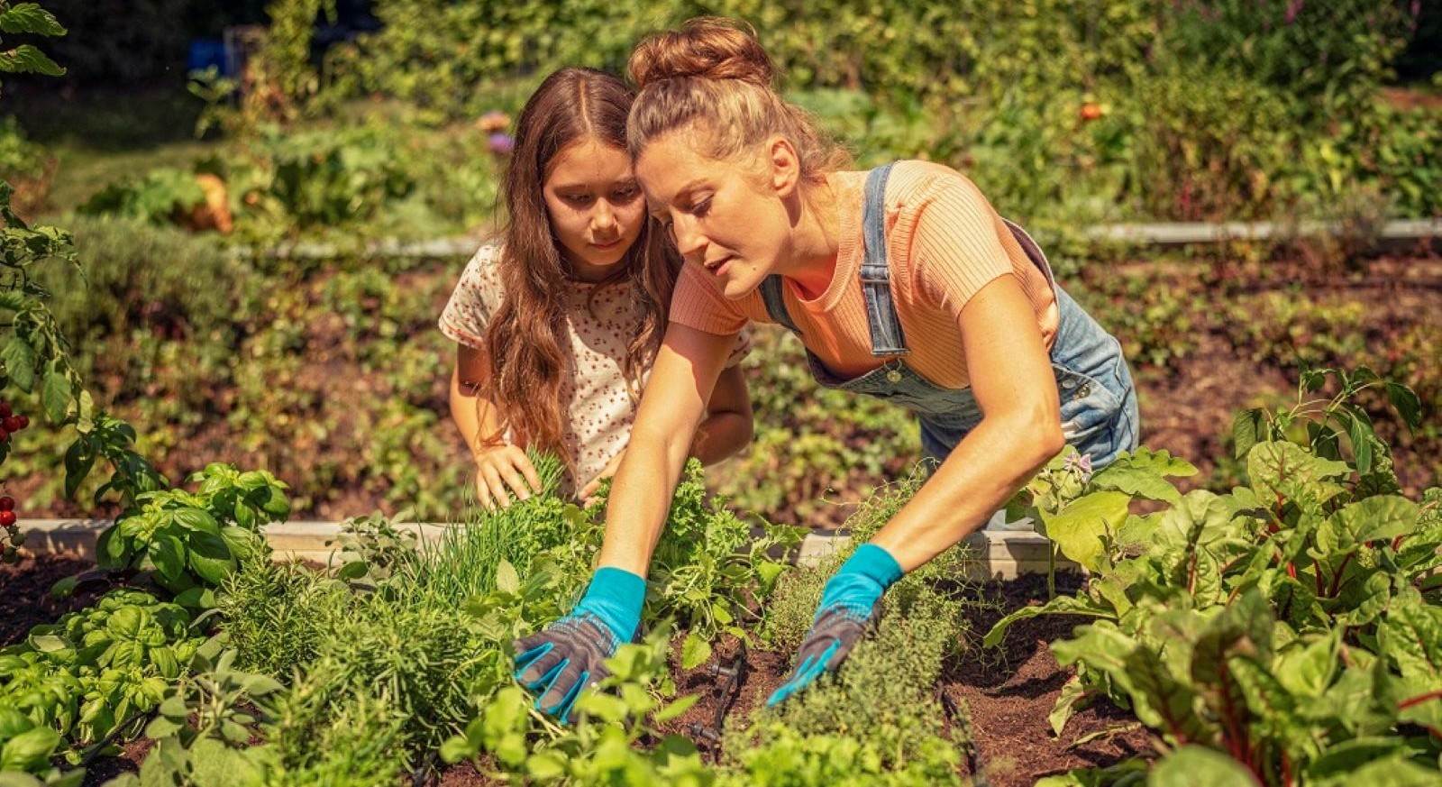 Mutter und Tochter arbeiten gemeinsam am Hochbeet