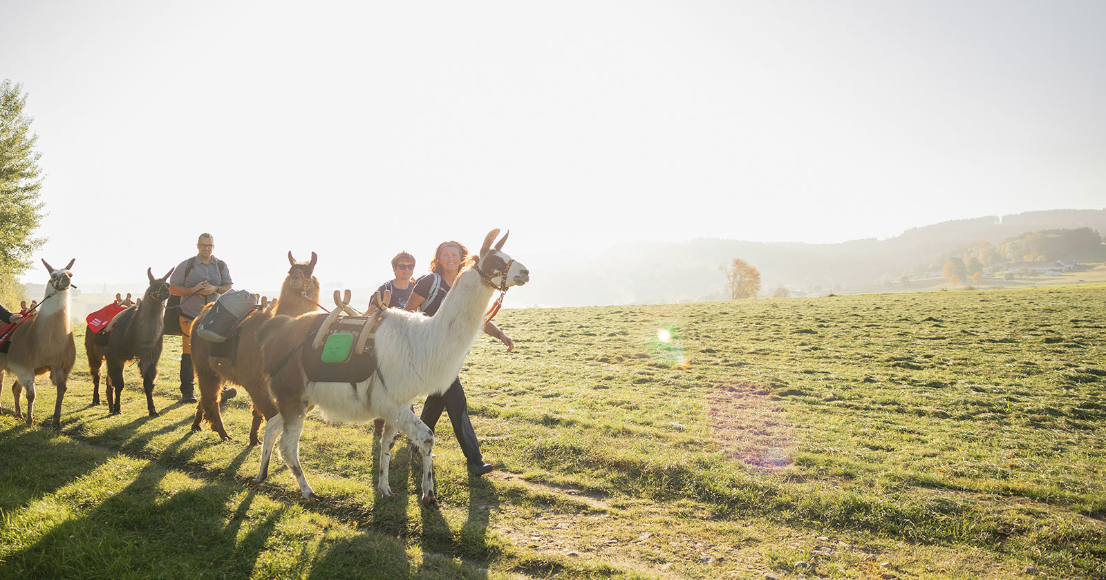 Gruppe bei Wanderung mit Lamas | Credit: Helena Wimmer