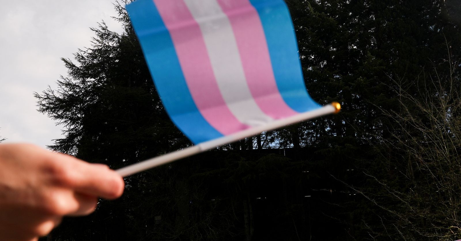 Transgender-Flagge wird im Freien geschwenkt – Symbolbild für Debatte um Transfrauen im Sport und neue Darts-Regeln