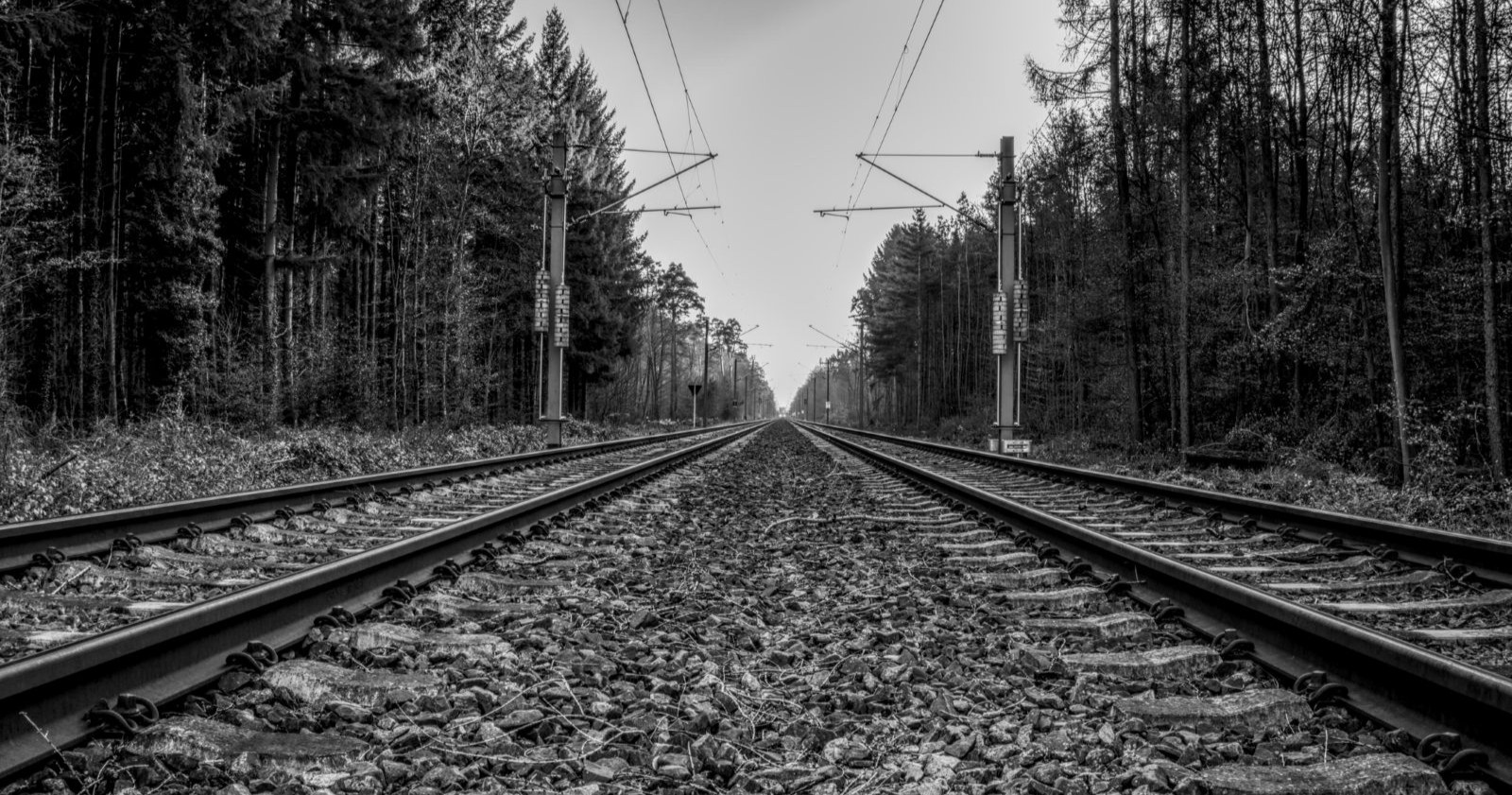 Schwarz-weiß-Foto von Zuggleisen.