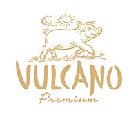 Volcano logo