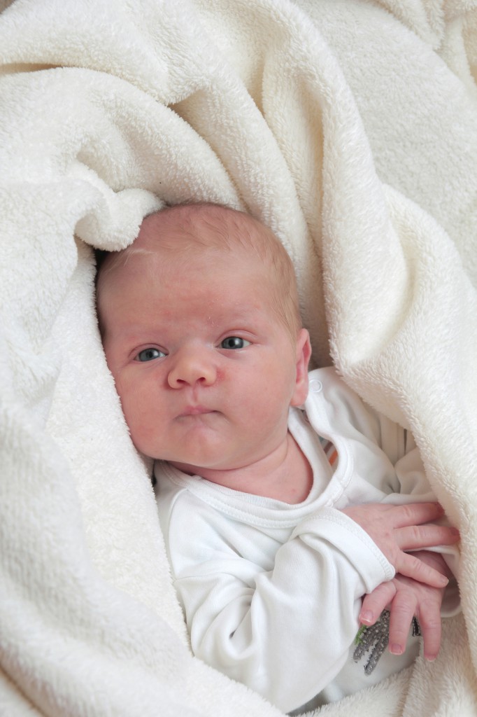 Lion Phoenix Thomas IMG_0028