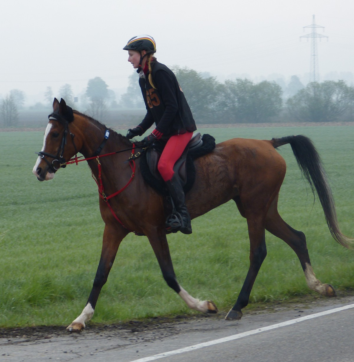 Clara Haug 20.4.2014