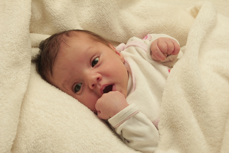 356_01193375_HEROLD-158249_Bild-fuer-Zeitung