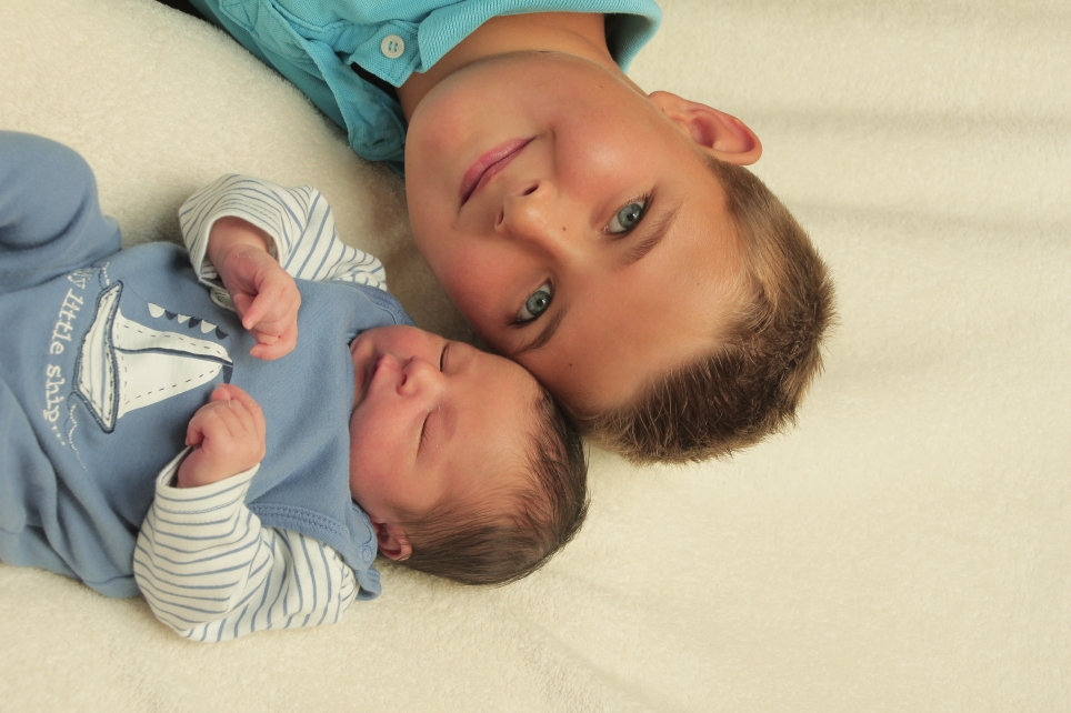 356_01193467_MARON-158367_Bild-fuer-Zeitung