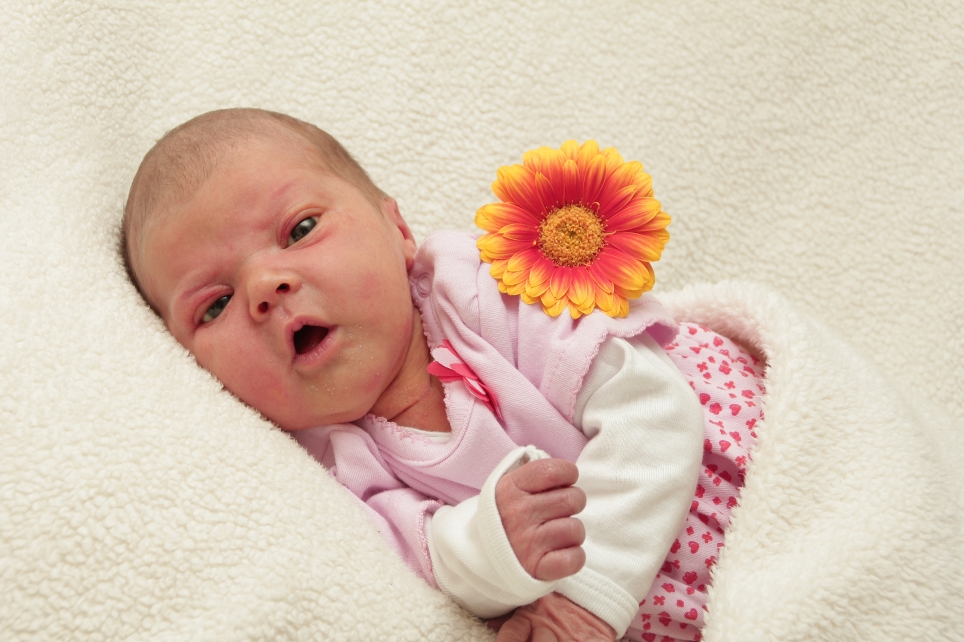 356_01195048_DER-160193_Bild-fuer-Zeitung