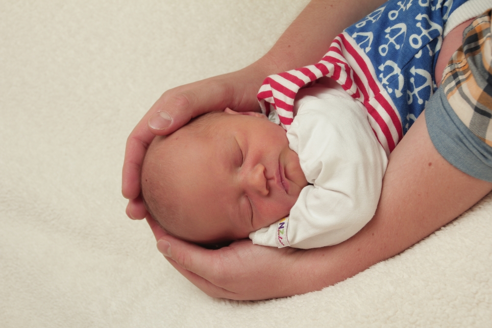 356_01198707_WILBAT-164549_Bild-fuer-Zeitung