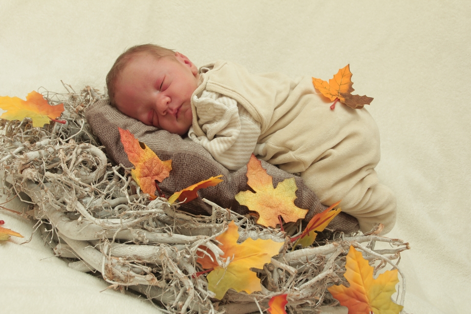 356_KN303_01221539_BENING-191437_Bild-fuer-Zeitung