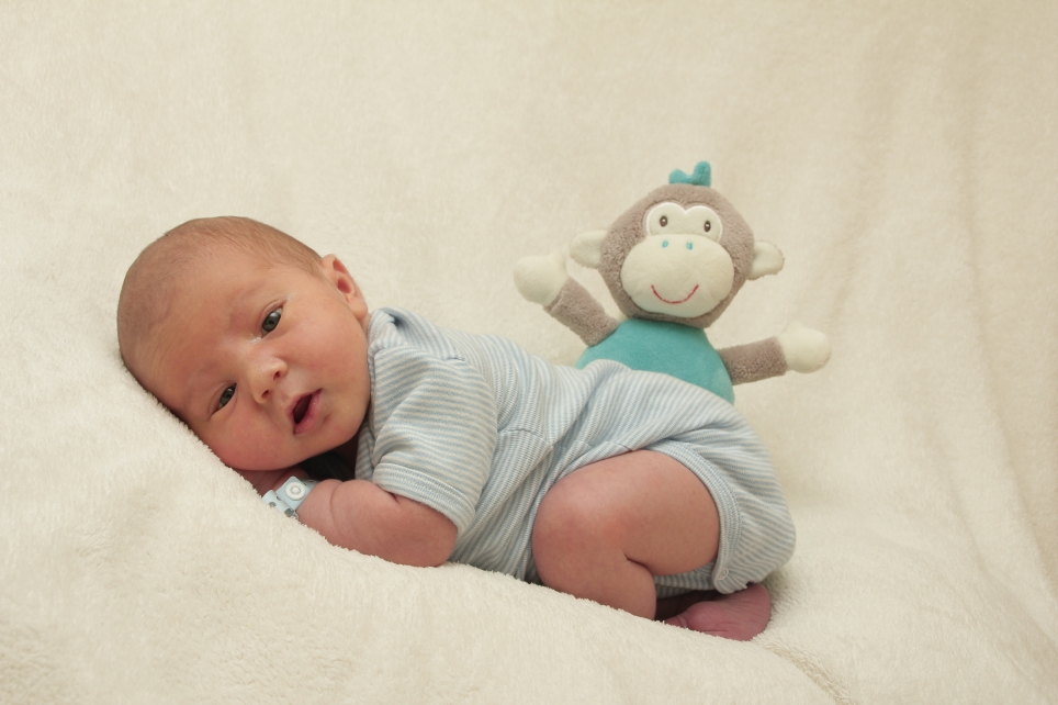 356_KN303_01221744_BOLDT-191684_Bild-fuer-Zeitung