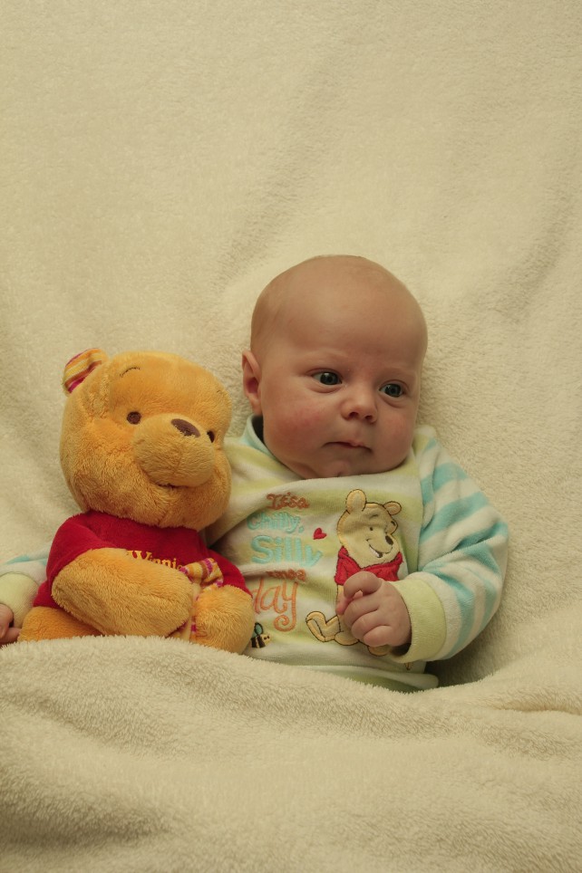 356_KN303_01223947_KOLLMORGEN-194235_Bild-fuer-Zeitung