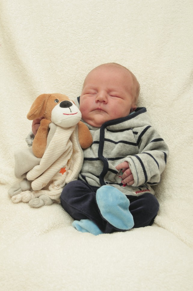 356_KN303_01224020_BAUMBACH-194337_Bild-fuer-Zeitung