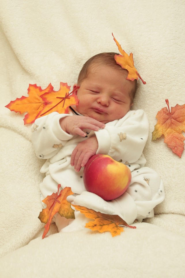 356_KN303_01224566_KINZEL-194942_Bild-fuer-Zeitung