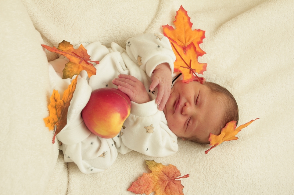 356_KN303_01224566_KINZEL-194942_Bild-fuer-Zeitung