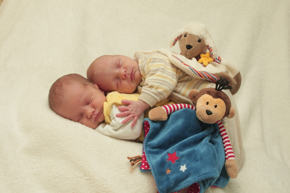 356_KN303_01225089_ALBERS-195613_Bild-fuer-Zeitung