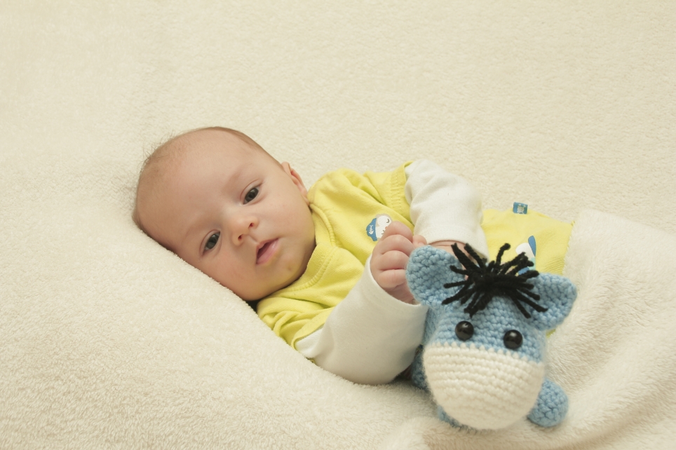 356_KN303_01226160_CROTT-196855_Bild-fuer-Zeitung