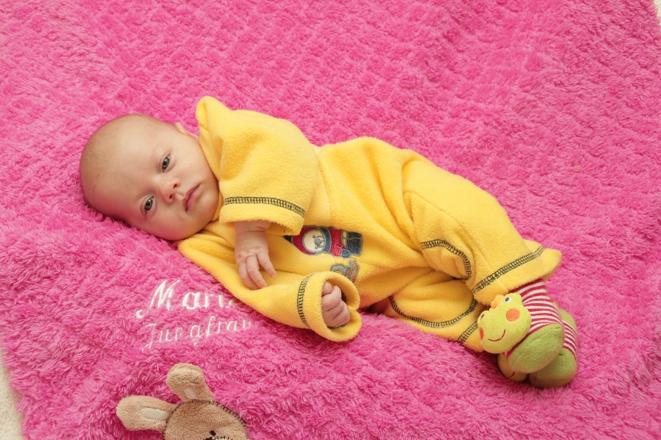 356_KN303_01226171_KERBER-196870_Bild-fuer-Zeitung