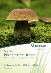 Pilz