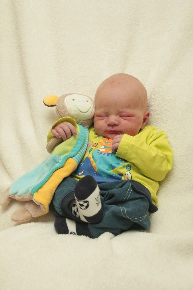 356_KN303_01235432_QUANDT-207913_Bild-fuer-Zeitung