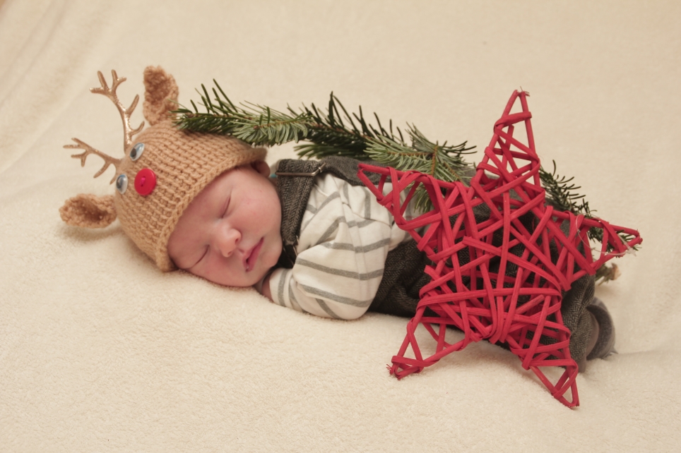 356_KN303_01244490_SAUBER-218567_Bild-fuer-Zeitung