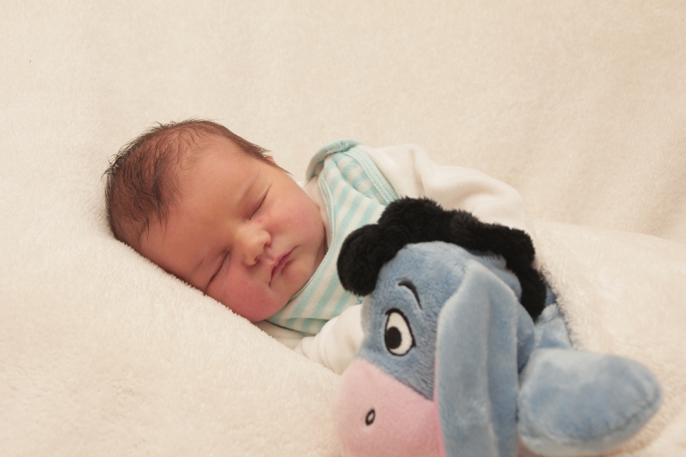 356_KN303_01245373_SCHULDT-219545_Bild-fuer-Zeitung