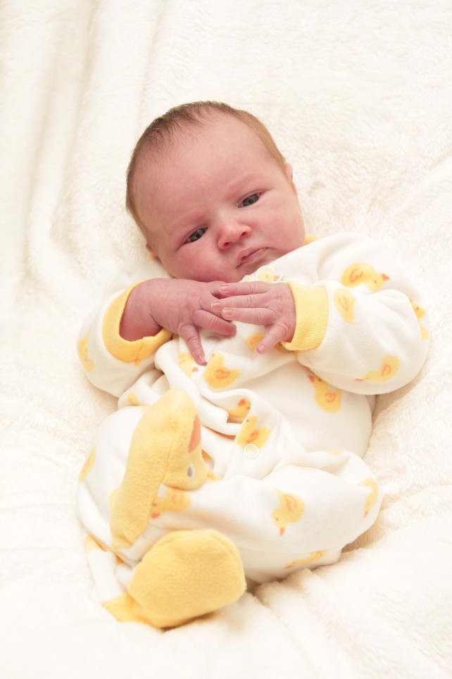 356_KN303_01246560_WIECHMANN-220949_Bild-fuer-Zeitung