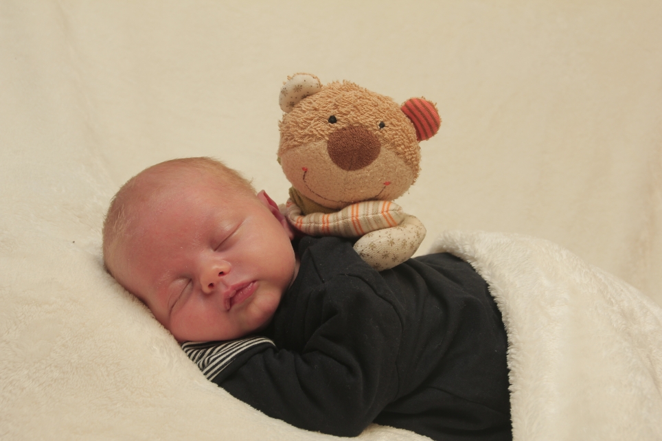 356_KN303_01249881_SCHWANCZAR-225321_Bild-fuer-Zeitung