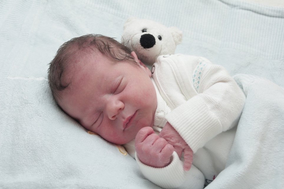 356_KN303_01249887_GARBE-225328_Bild-fuer-Zeitung