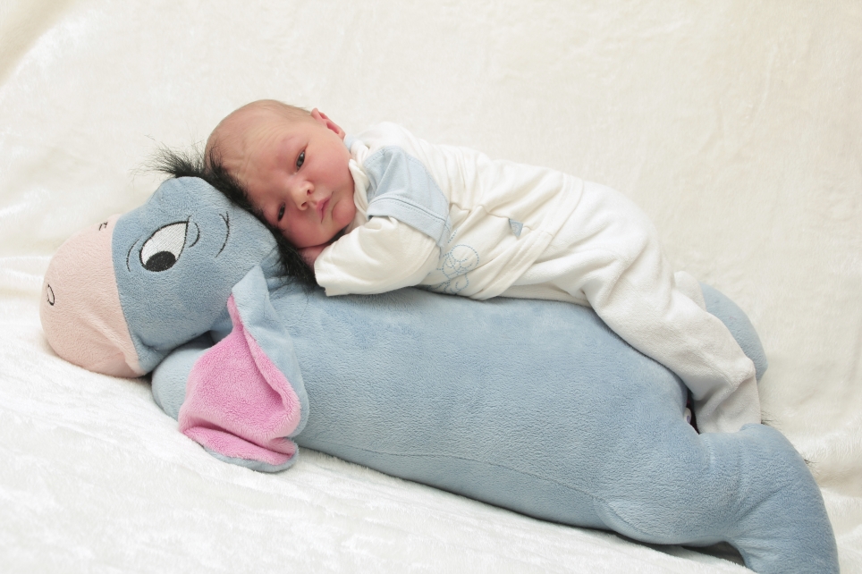 356_KN303_01256373_KRUEGER-233128_Bild-fuer-Zeitung