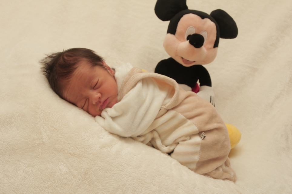 356_KN303_01263565_SPLISTESER-242860_Bild-fuer-Zeitung