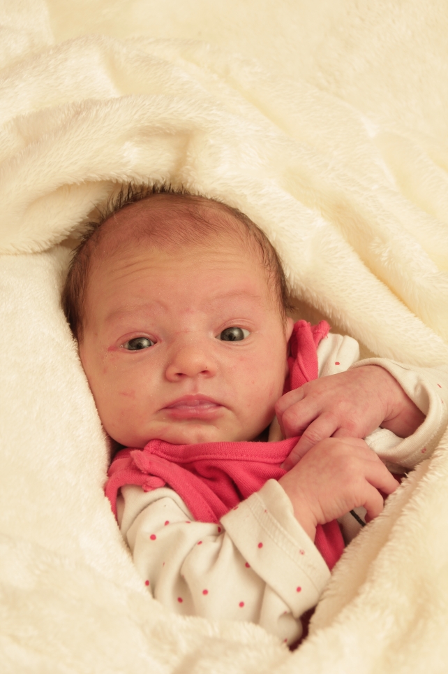 356_KN303_01265720_HAUSWALD-245501_Bild-fuer-Zeitung