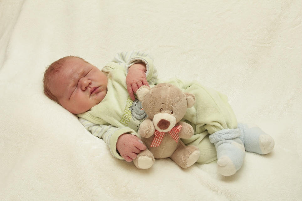 356_KN303_01265754_GORKE-245546_Bild-fuer-Zeitung