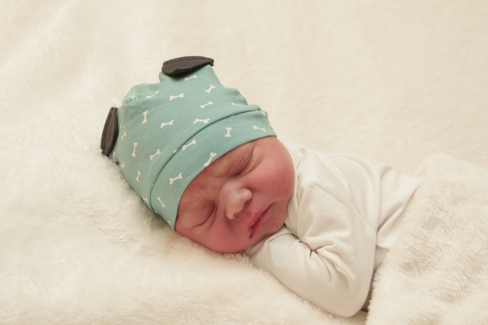 356_KN303_01270194_HARTWIG-252457_Bild-fuer-Zeitung