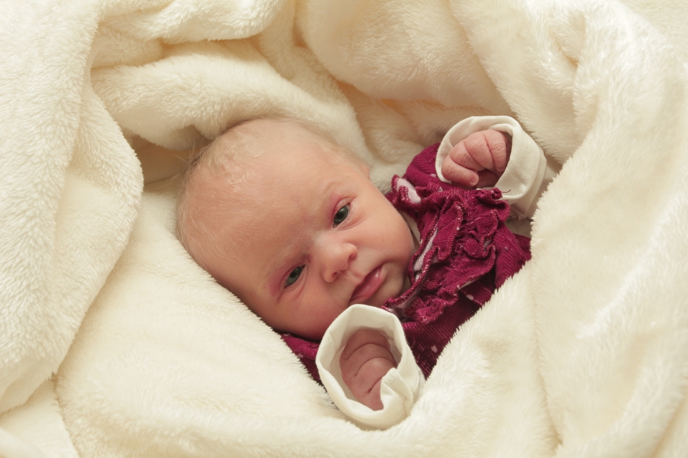 356_KN303_01271477_TARNOWSKI-254162_Bild-fuer-Zeitung