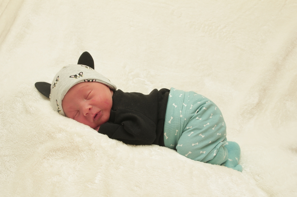 356_KN303_01272246_HUEBNER-255098_Bild-fuer-Zeitung