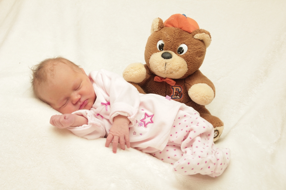 356_KN303_01274825_HOYER-258551_Bild-fuer-Zeitung