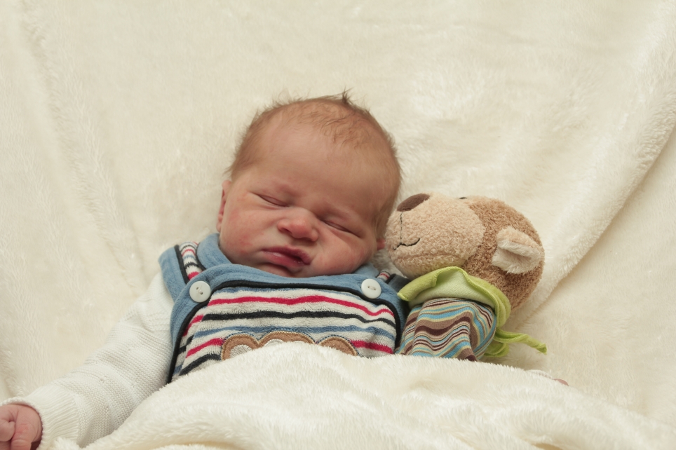 356_KN303_01282048_POLTIER-267532_Bild-fuer-Zeitung