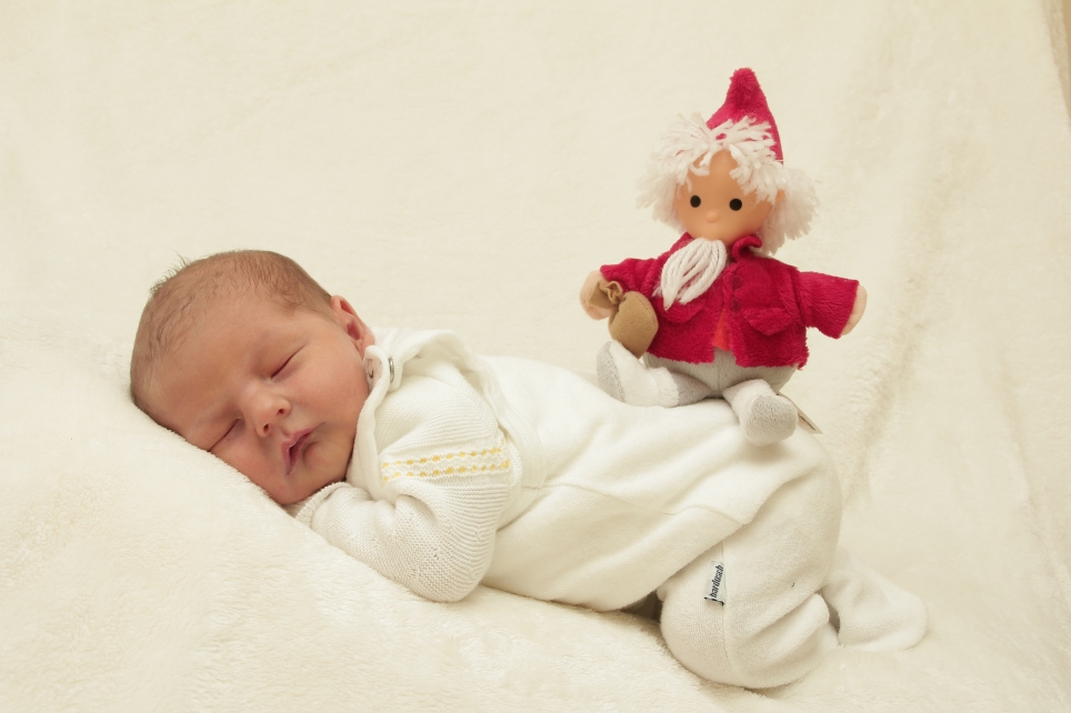 356_KN303_01282286_FREITAG-267818_Bild-fuer-Zeitung