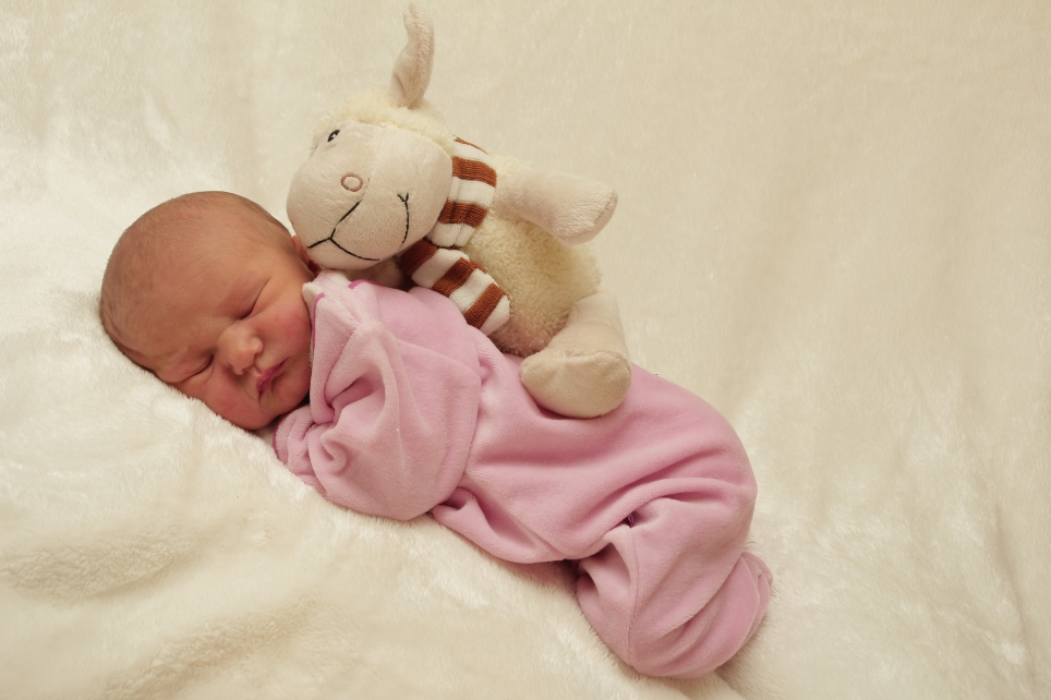 356_KN303_01282392_KOPPERSCHMIDT-267950_Bild-fuer-Zeitung