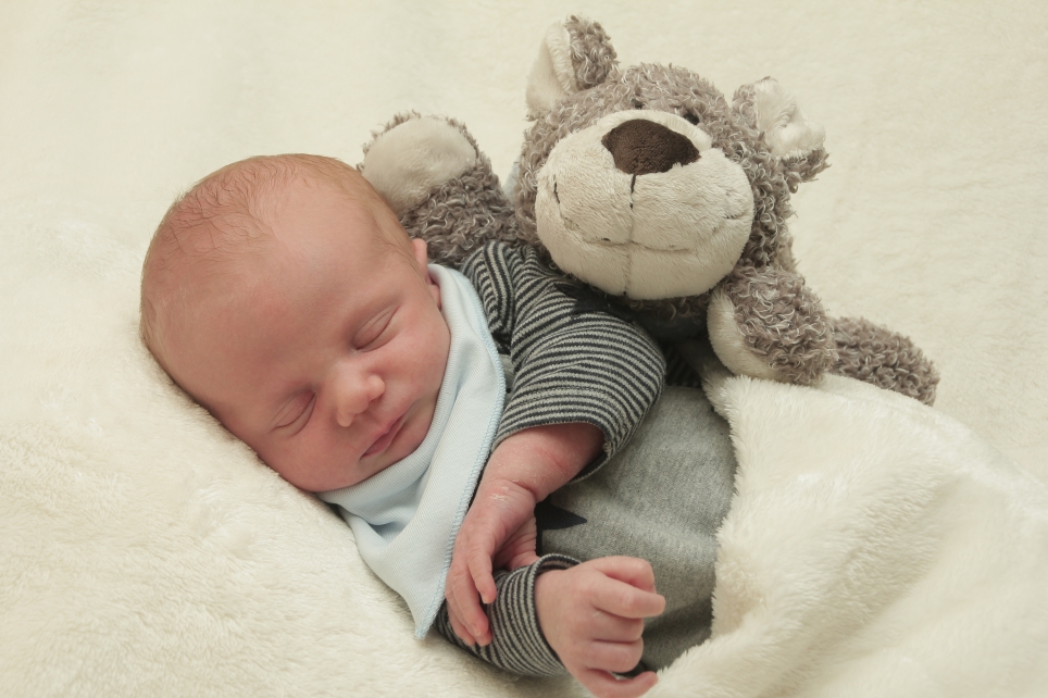 356_KN303_01292767_KLEEMANN-287546_Bild-fuer-Zeitung