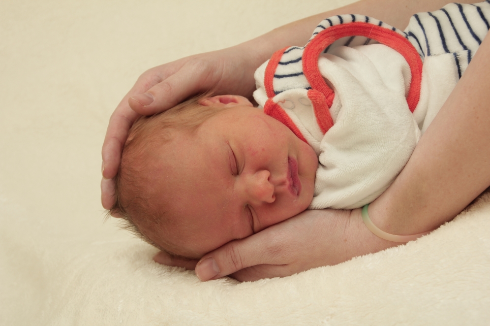 356_KN303_01293575_SELL-288555_Bild-fuer-Zeitung