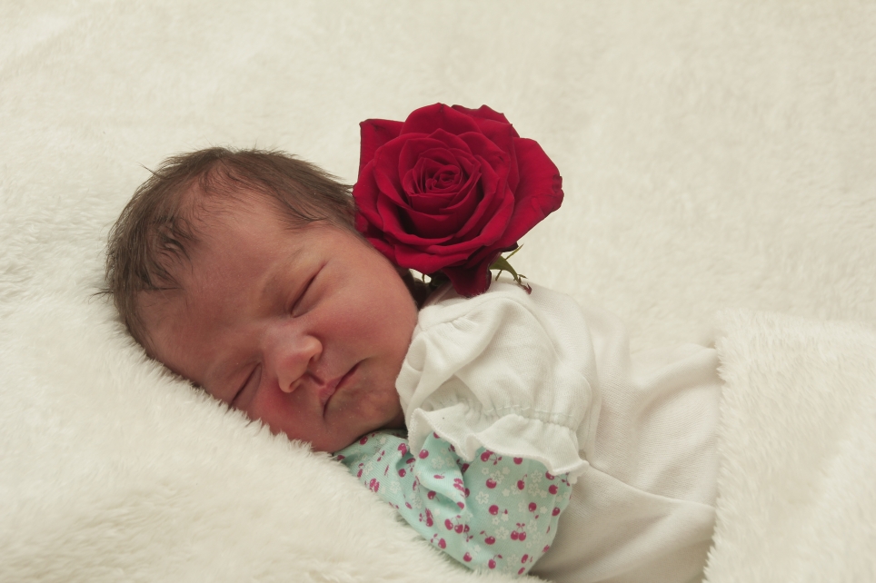 356_KN303_01295834_GEIGER-291457_Bild-fuer-Zeitung