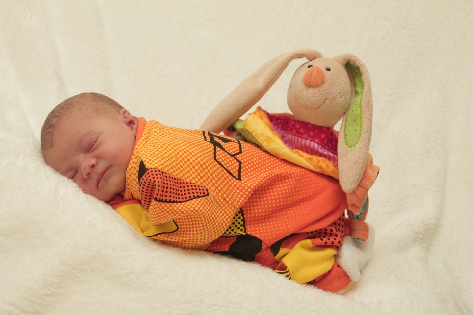 356_KN303_01295985_MERTEN-291655_Bild-fuer-Zeitung