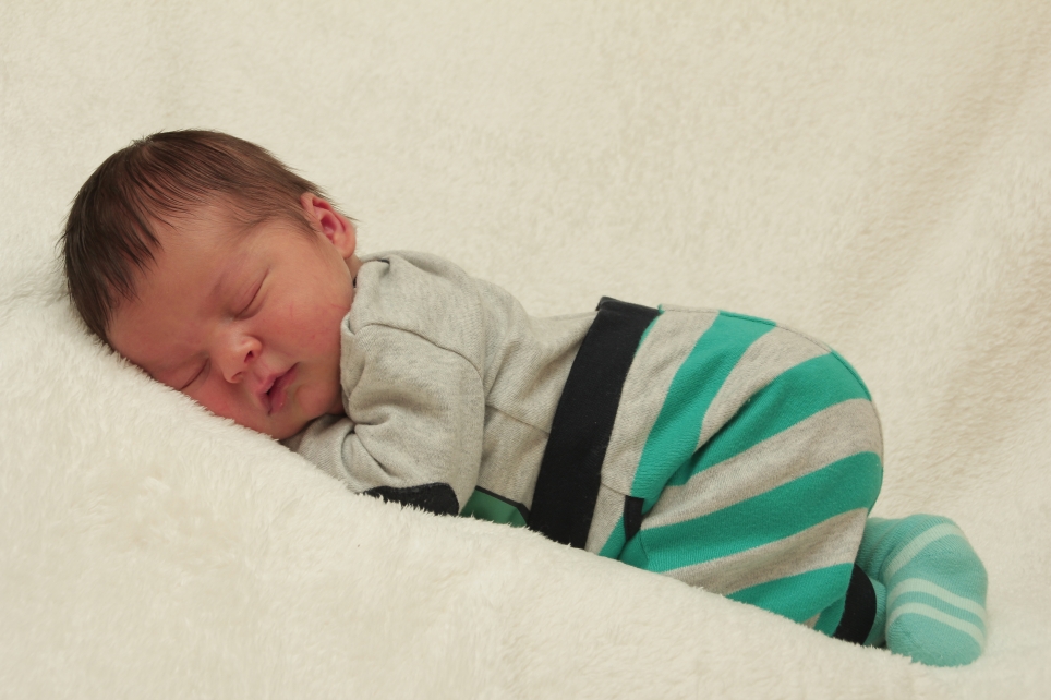 356_KN303_01297881_STOLL-294824_Bild-fuer-Zeitung