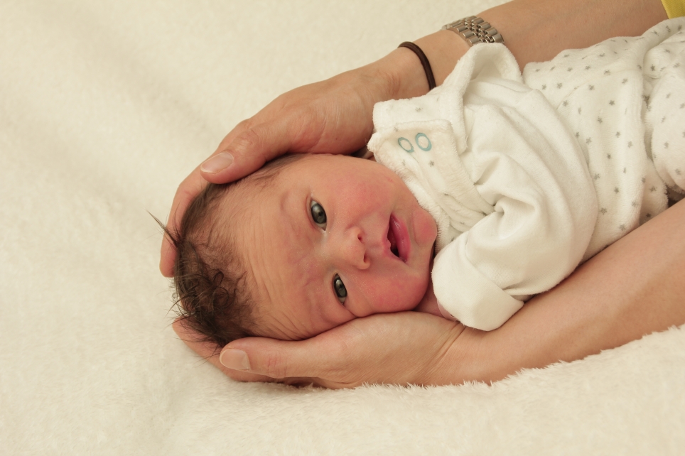 356_KN303_01298174_KRAUSE-295246_Bild-fuer-Zeitung