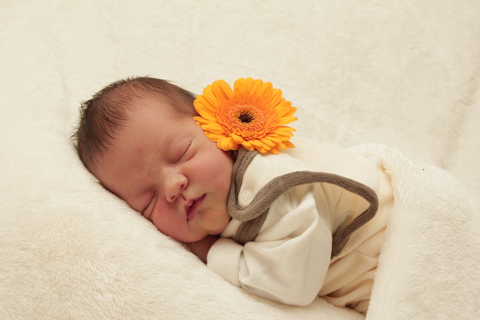 356_KN303_01306179_HEISE-306053_Bild-fuer-Zeitung