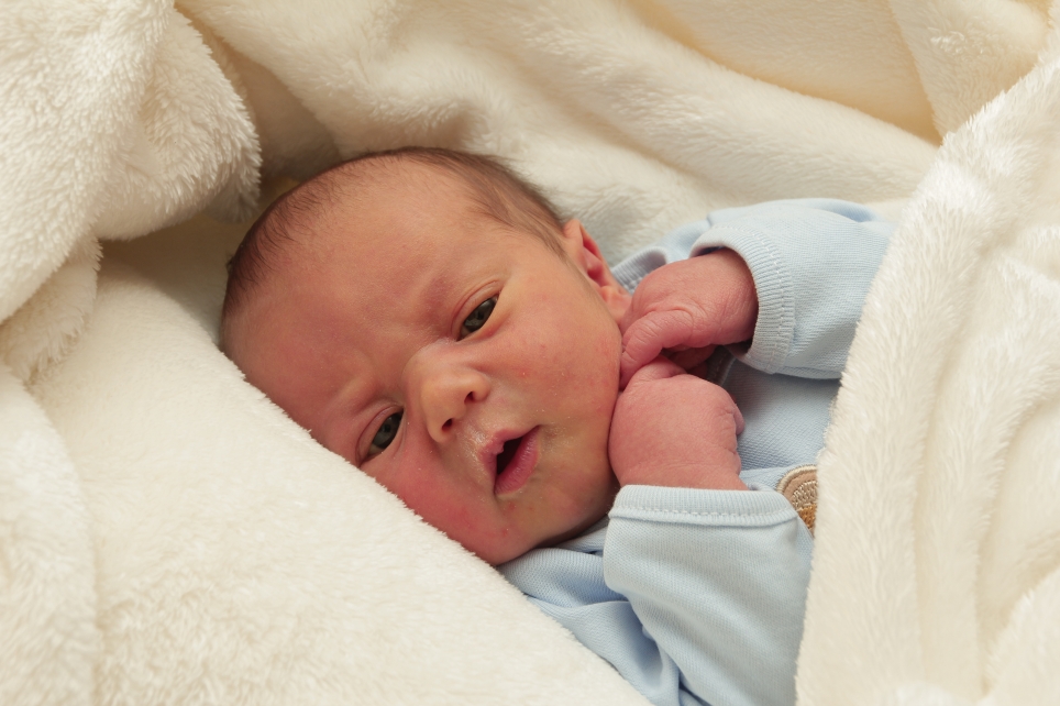 356_KN303_01306217_RUCINSKA-306106_Bild-fuer-Zeitung