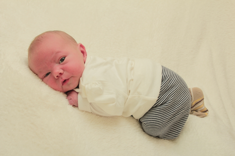 356_KN303_01308307_SCHWINKENDORF-308685_Bild-fuer-Zeitung